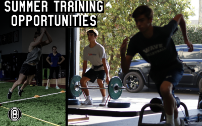 School Doors Lock and So Many Other Doors Open: Summer Training Opportunities